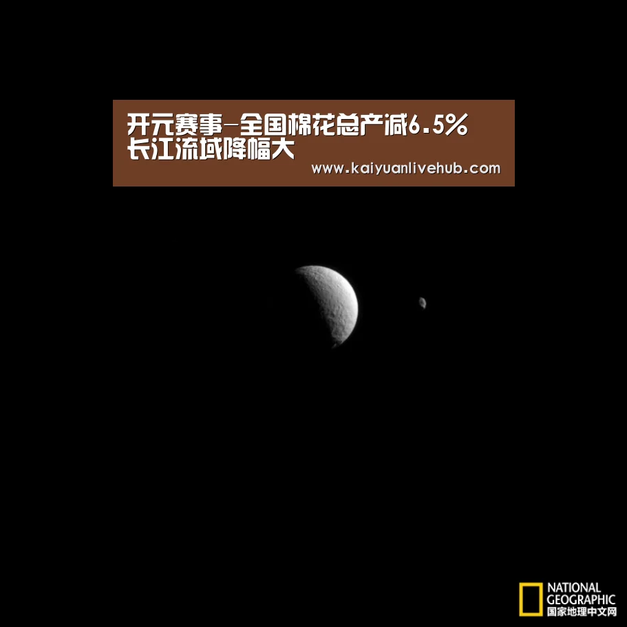 开元赛事-全国棉花总产减6.5% 长江流域降幅大(图2) 开元体育