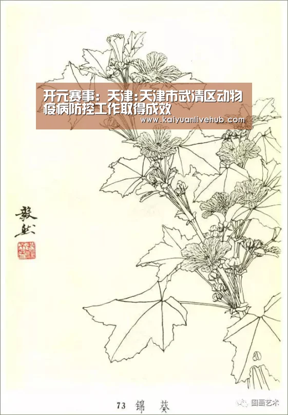 开元赛事