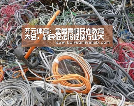 开元体育:金鑫亮相民办教育大会,称民促法将促使行业大整合(图3) 开元电竞