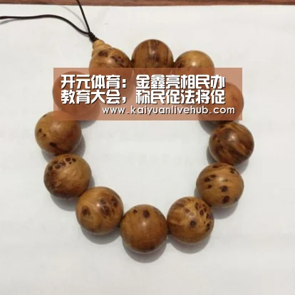 开元体育:金鑫亮相民办教育大会,称民促法将促使行业大整合(图4) 开元赛事