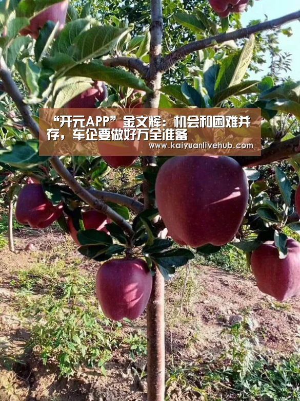“开元APP”金文辉:机会和困难并存,车企要做好万全准备(图2) 开元赛事
