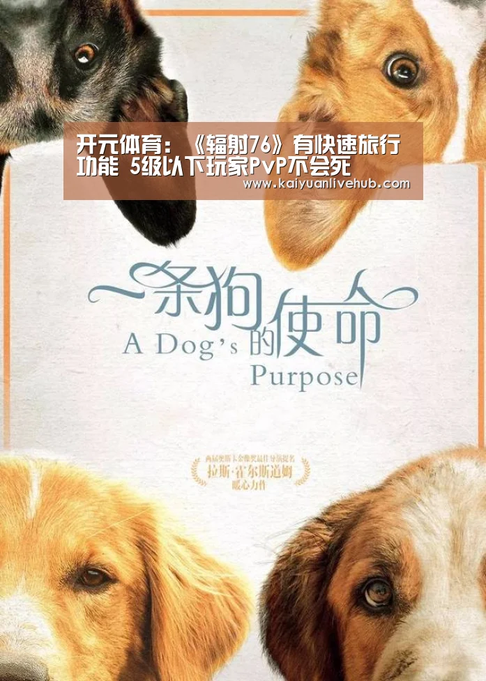 开元体育:《辐射76》有快速旅行功能 5级以下玩家PvP不会死(图3) 开元APP