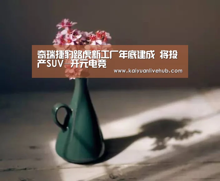 开元电竞