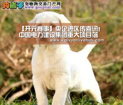 【开元赛事】央企进区传喜讯!中国电力建设集团重大项目落地新媒体产业基地(图2) 开元赛事