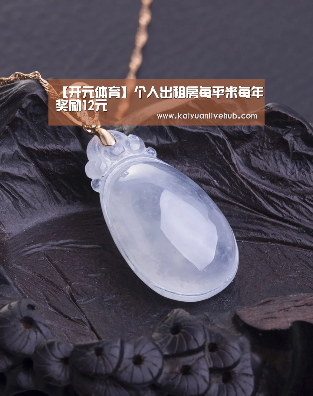 【开元体育】个人出租房每平米每年奖励12元(图4) 开元赛事