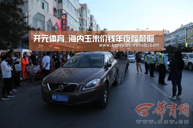 开元体育_海内玉米价钱年夜幅颠簸(图1) 开元体育