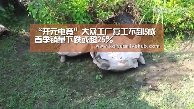 “开元电竞”大众工厂复工不到5成 首季销量下跌或超25%(图1) 开元赛事