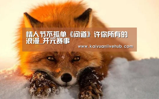 情人节不孤单《问道》许你所有的浪漫_开元赛事(图4) 开元赛事