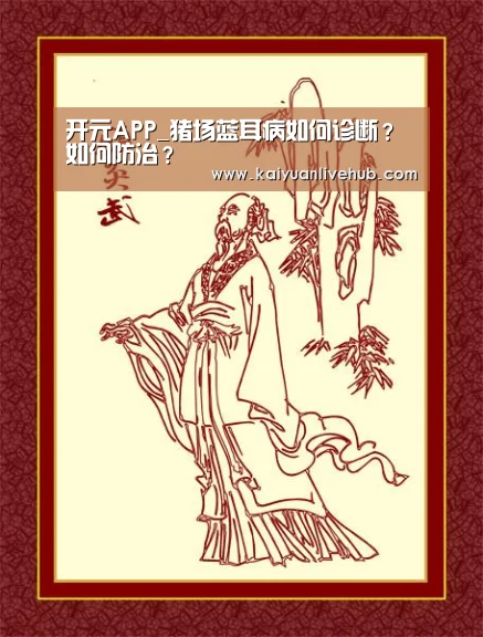 开元APP_猪场蓝耳病如何诊断?如何防治?(图1) 开元体育