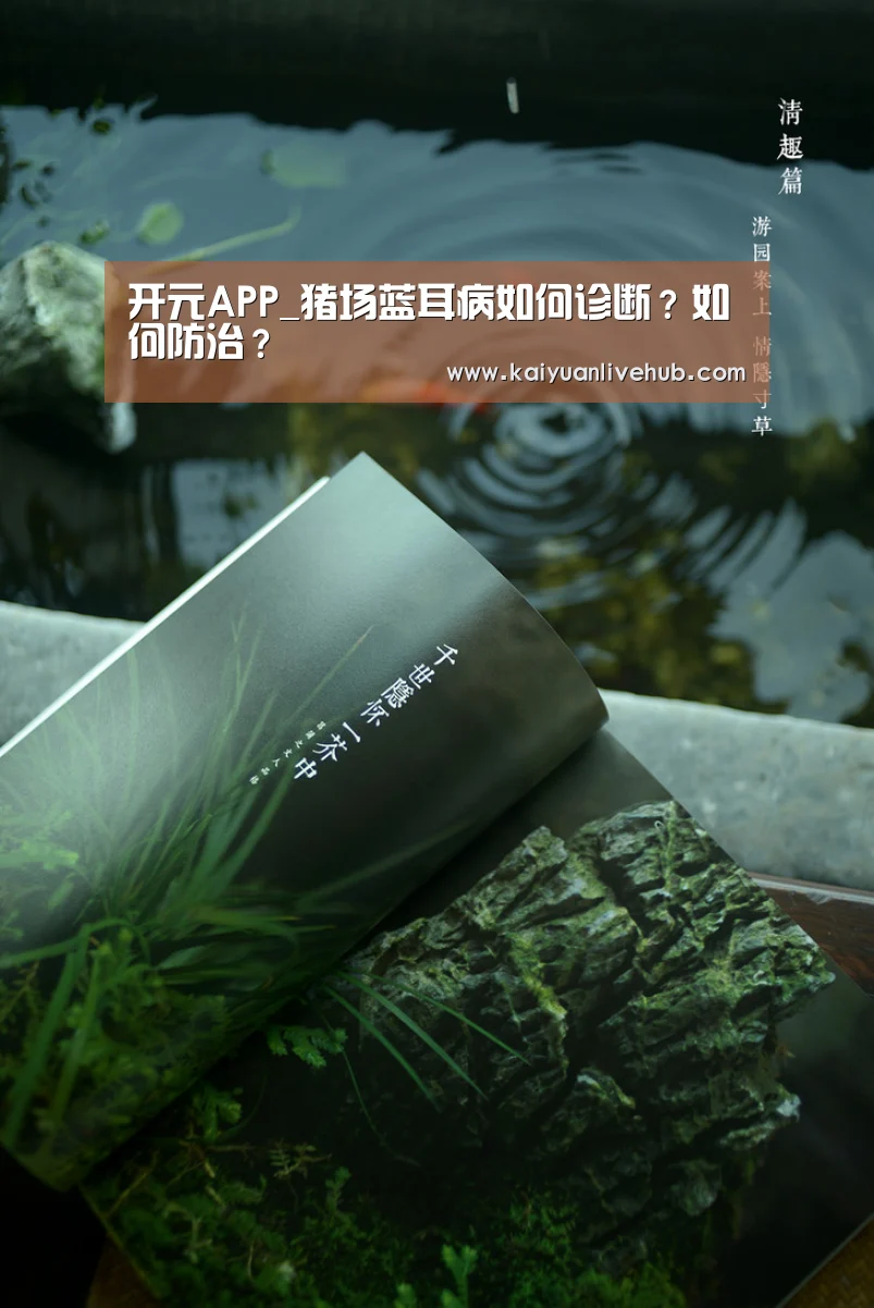 开元APP_猪场蓝耳病如何诊断?如何防治?(图2) 开元电竞