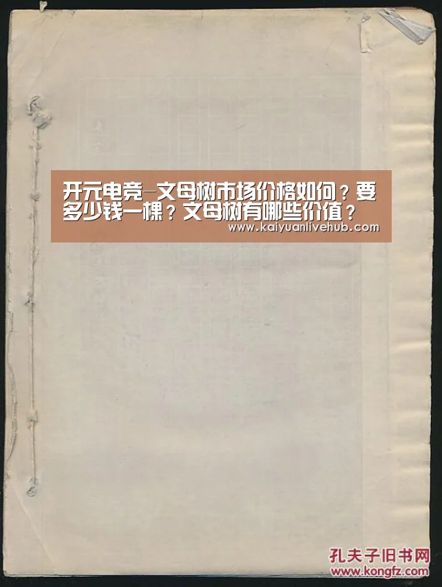 开元电竞-文母树市场价格如何?要多少钱一棵?文母树有哪些价值?(图2) 开元赛事
